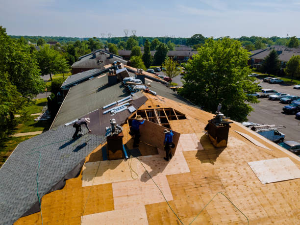 Trusted Storm Damage Roof Repair service in Eden, MD - Brentwood Metal Roofing